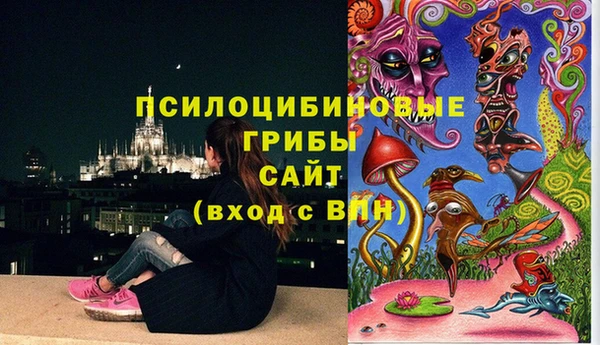 хмурый Белоозёрский