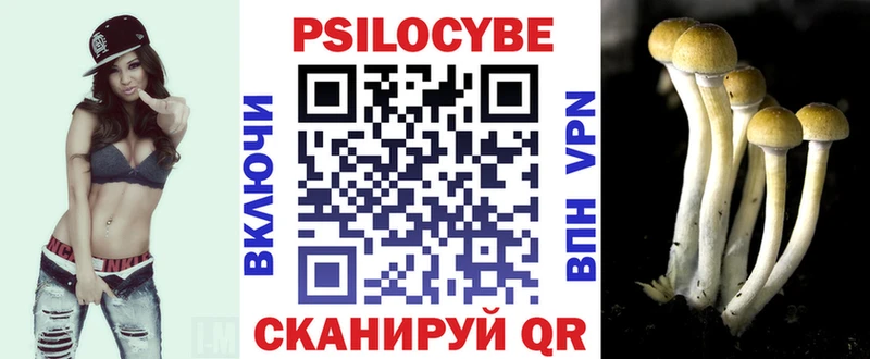 Галлюциногенные грибы ЛСД Севск