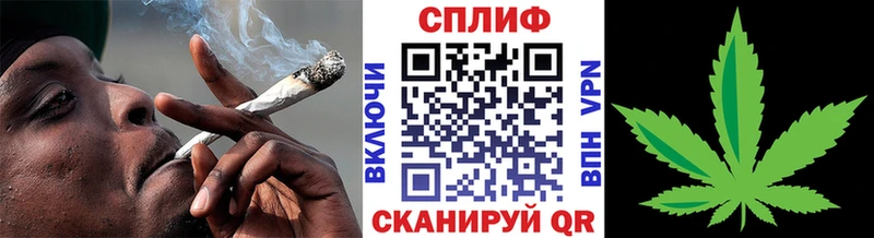 где купить наркоту  Севск  Бошки марихуана планчик 